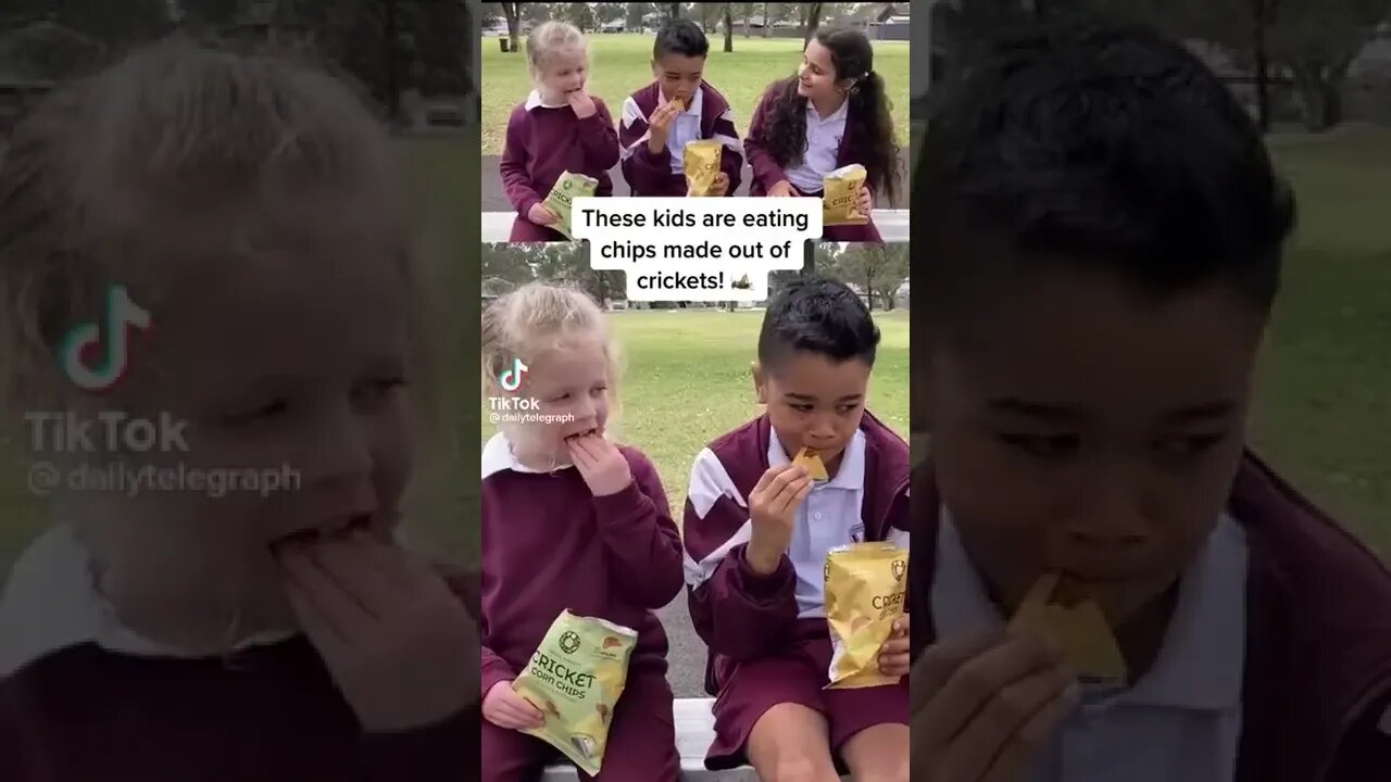 These kids are eating cricket chips | You will eat ze bugs...