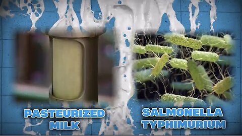 Raw dairy products specially Raw Milk is the best!