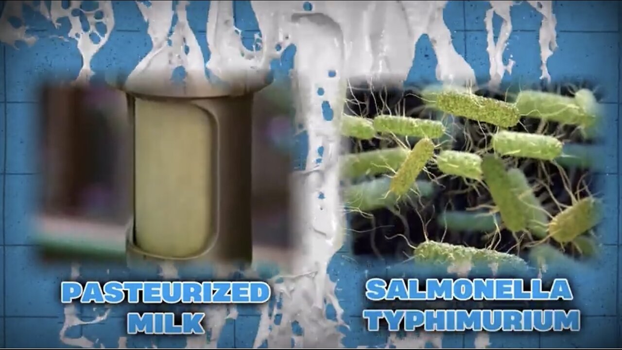 Raw dairy products specially Raw Milk is the best!