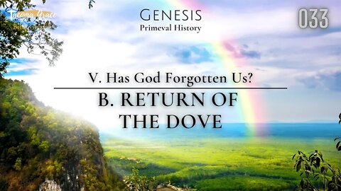 Return of the Dove | Genesis 8:6-12