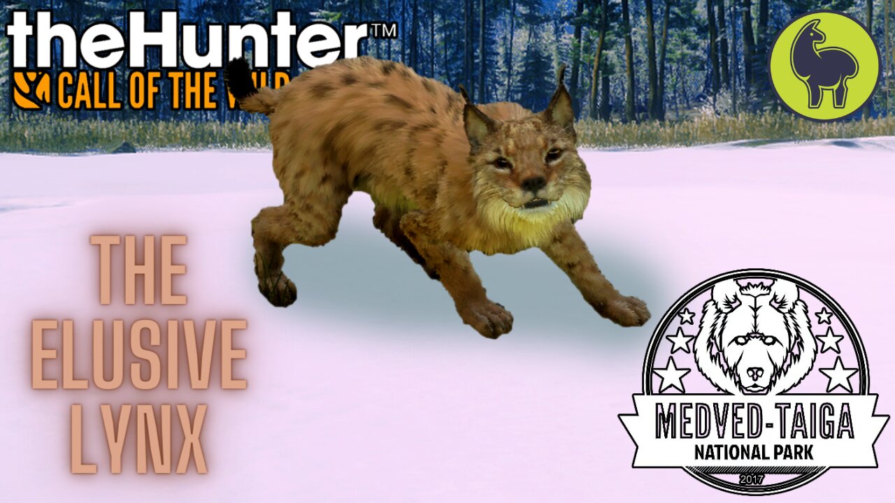 The Elusive Lynx, Medved Taiga | theHunter: Call of the Wild (PS5 4K)