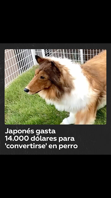 Un japonés cumple su sueño y se 'transforma' en un perro