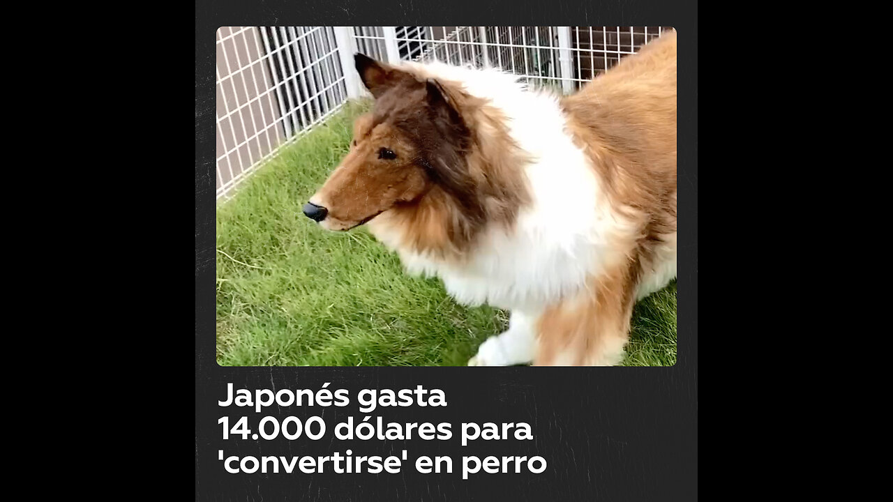 Un japonés cumple su sueño y se 'transforma' en un perro