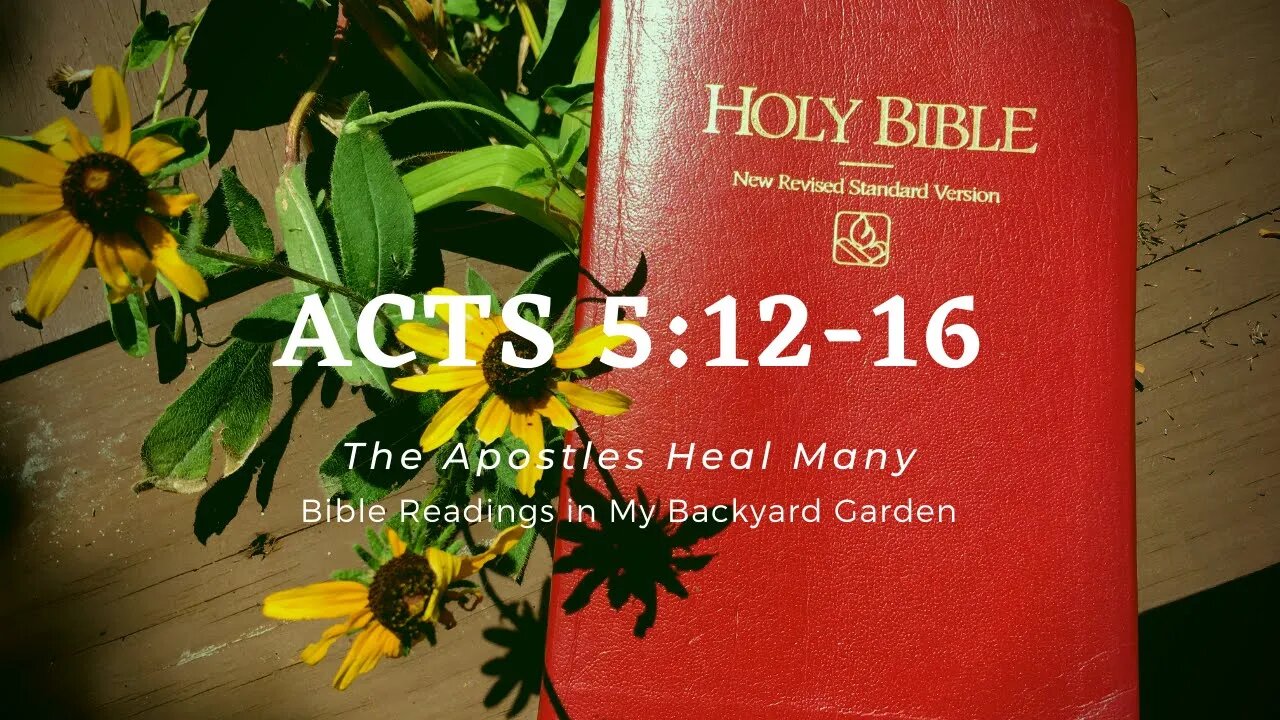 ACTS 5:12-16 (The Apostles Heal Many)