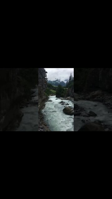Sounds of nature in Switzerland 😍 #shorts