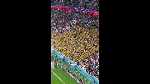 Qatar Opening Game... Ecuadorian Fans Chant 'Queremos Cerveza' (We Want Beer)