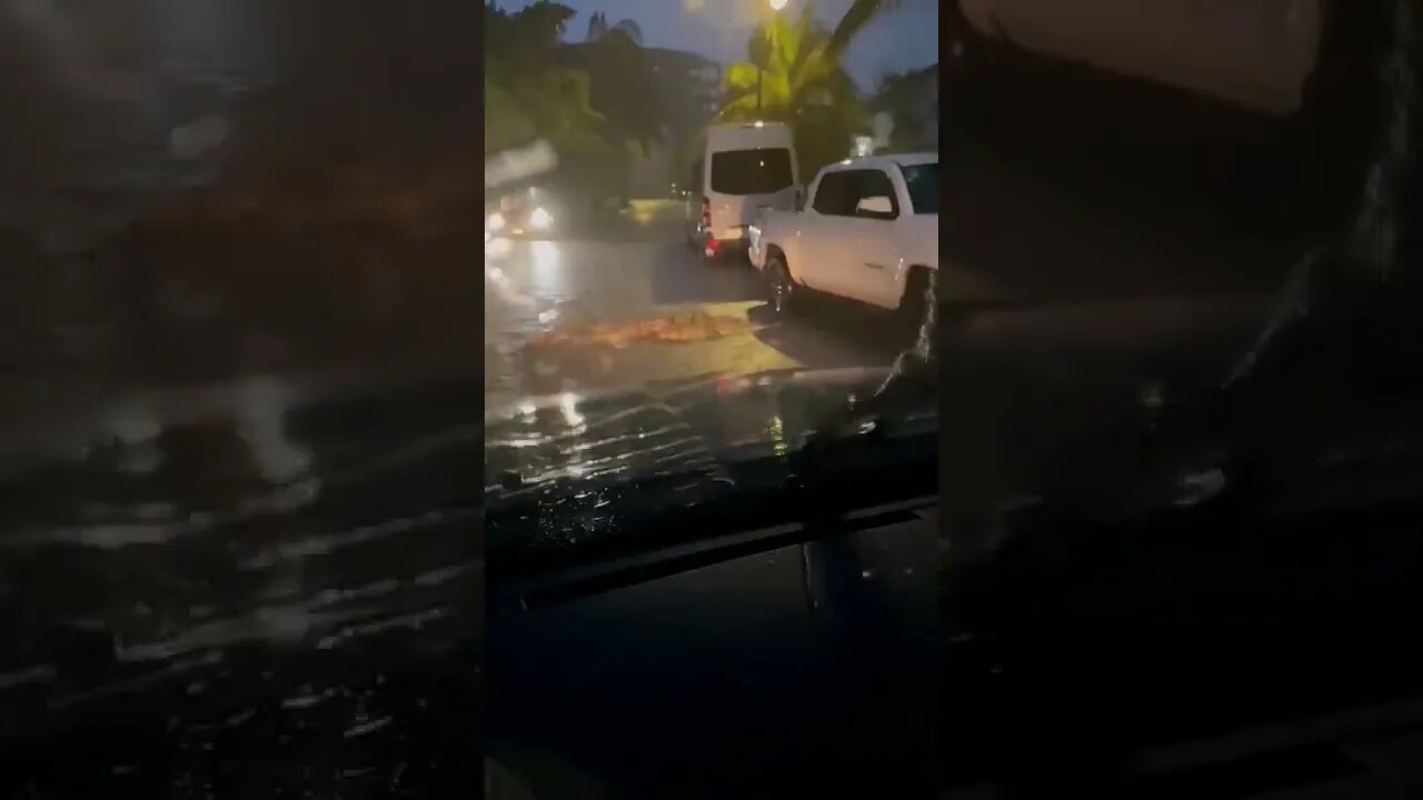 Alligator crossing in Puerto Vallarta, Mexico🇲🇽.