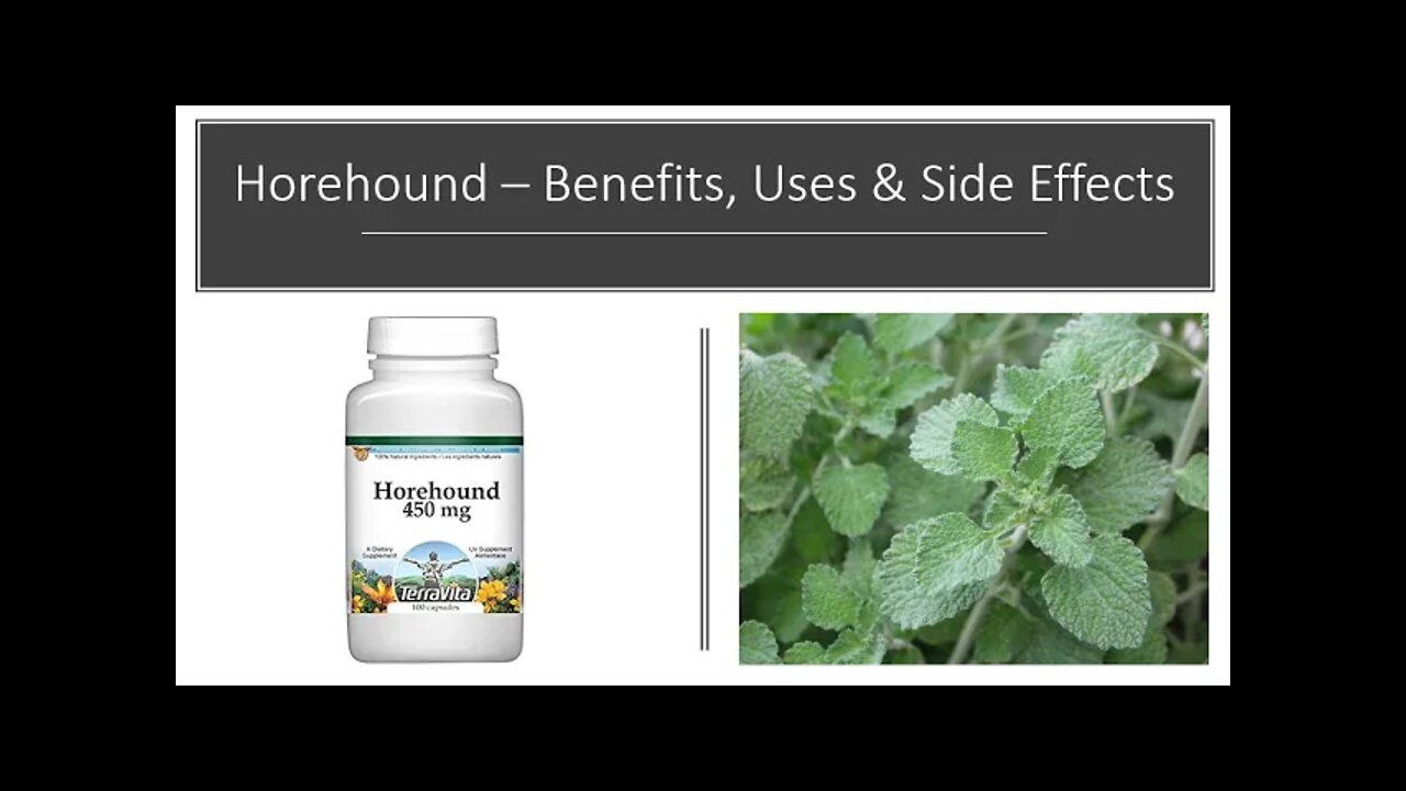 Horehound - Benefits, Uses & Side Effects