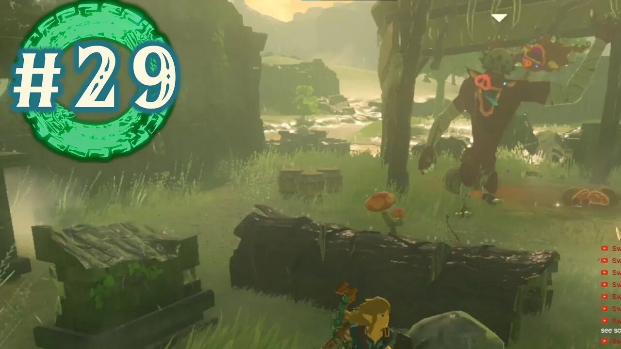 Buddy throwing at its finest - Tears of the Kingdom: Part 29