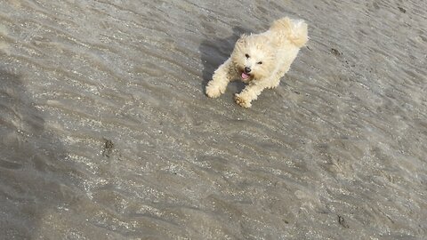 Beach walk