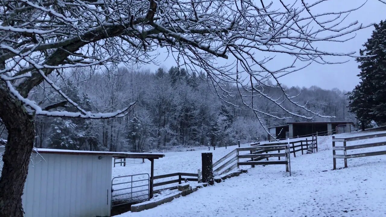 Snow Day Livingston Tennessee ☃️