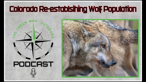 Colorado Re-establishing Wolf Populations - The Green Way Outdoors Podcast Clips