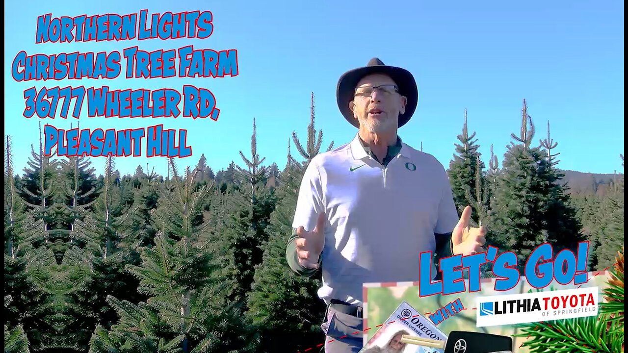 Northern Lights Christmas Tree Farm: "Let's Go!"