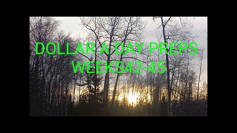 DOLLAR A DAY PREPS WEEKS 42-45