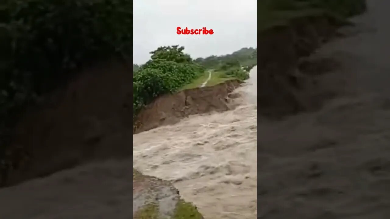 Flood #shorts