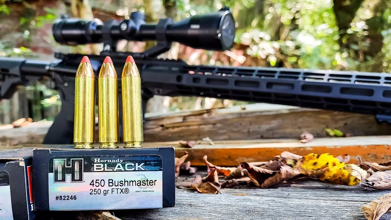 450 Bushmaster - First shots and 100 Yard Sight In