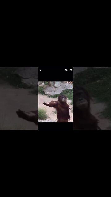 "When Your Buddy Runs Out" and Wants Your Stash #shortsvideo #shorts #friendship #share