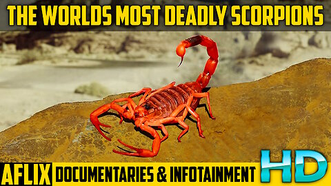 The Worlds Most Deadly Scorpions - Documentary