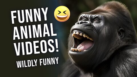 20 Minutes of Animals Craziest Moments