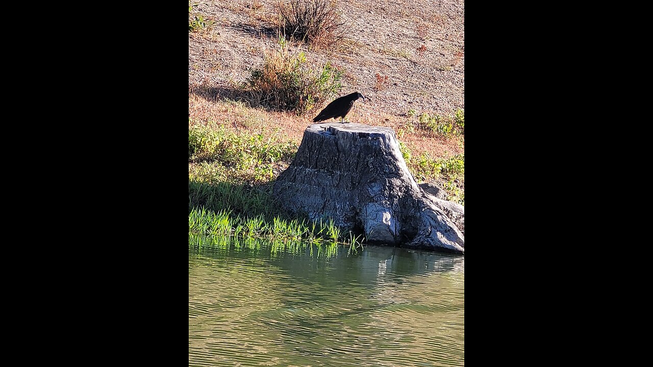 Fitts Pond 2021