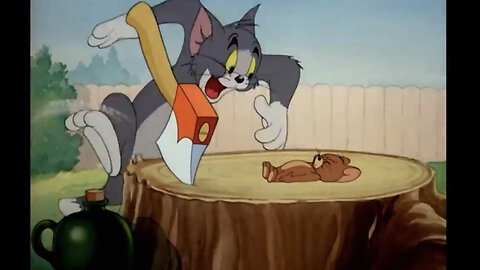 Tom & Jerry | kids cartoon