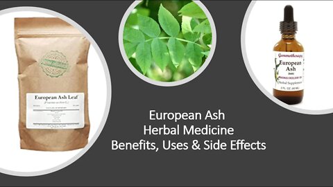 European Ash - Herbal Medicine - Benefits, Uses & Side Effects