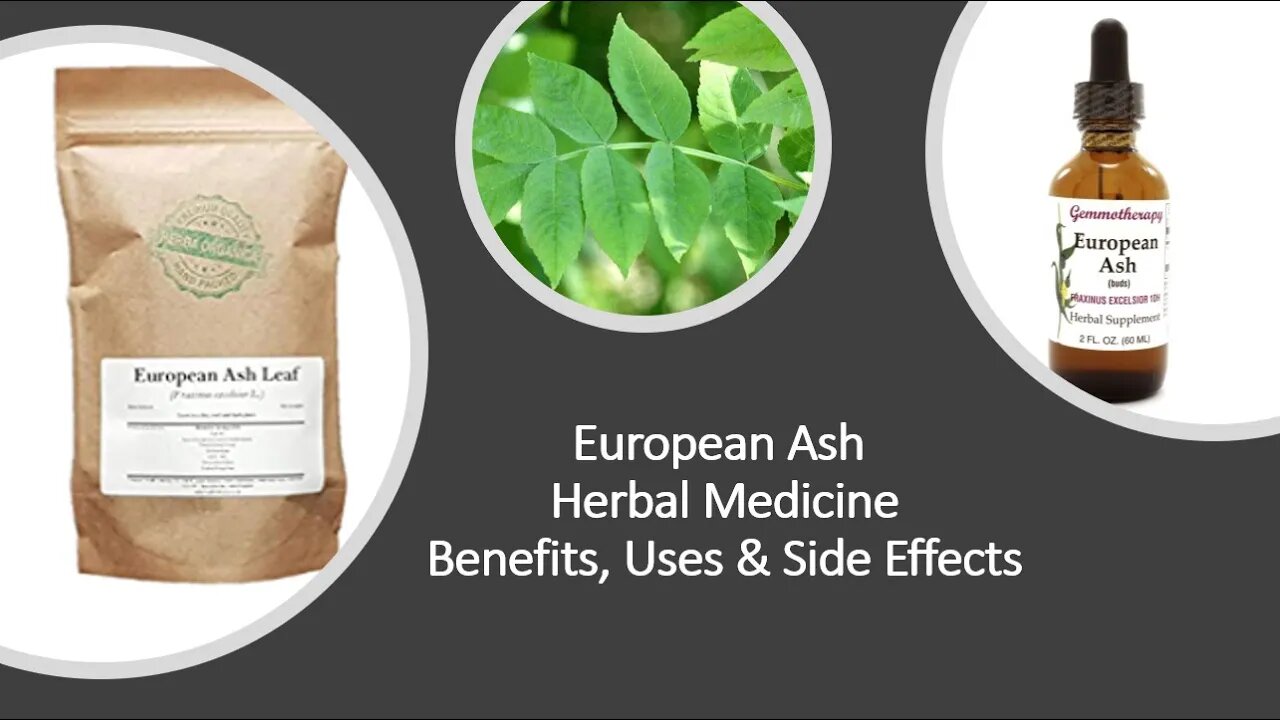 European Ash - Herbal Medicine - Benefits, Uses & Side Effects