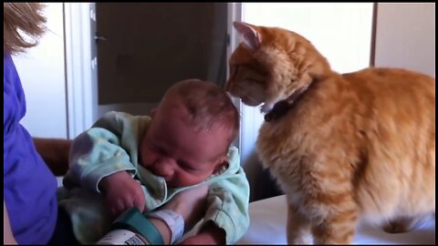 Cuteness Overload: Cats Meeting Newborns Will Melt Your Heart