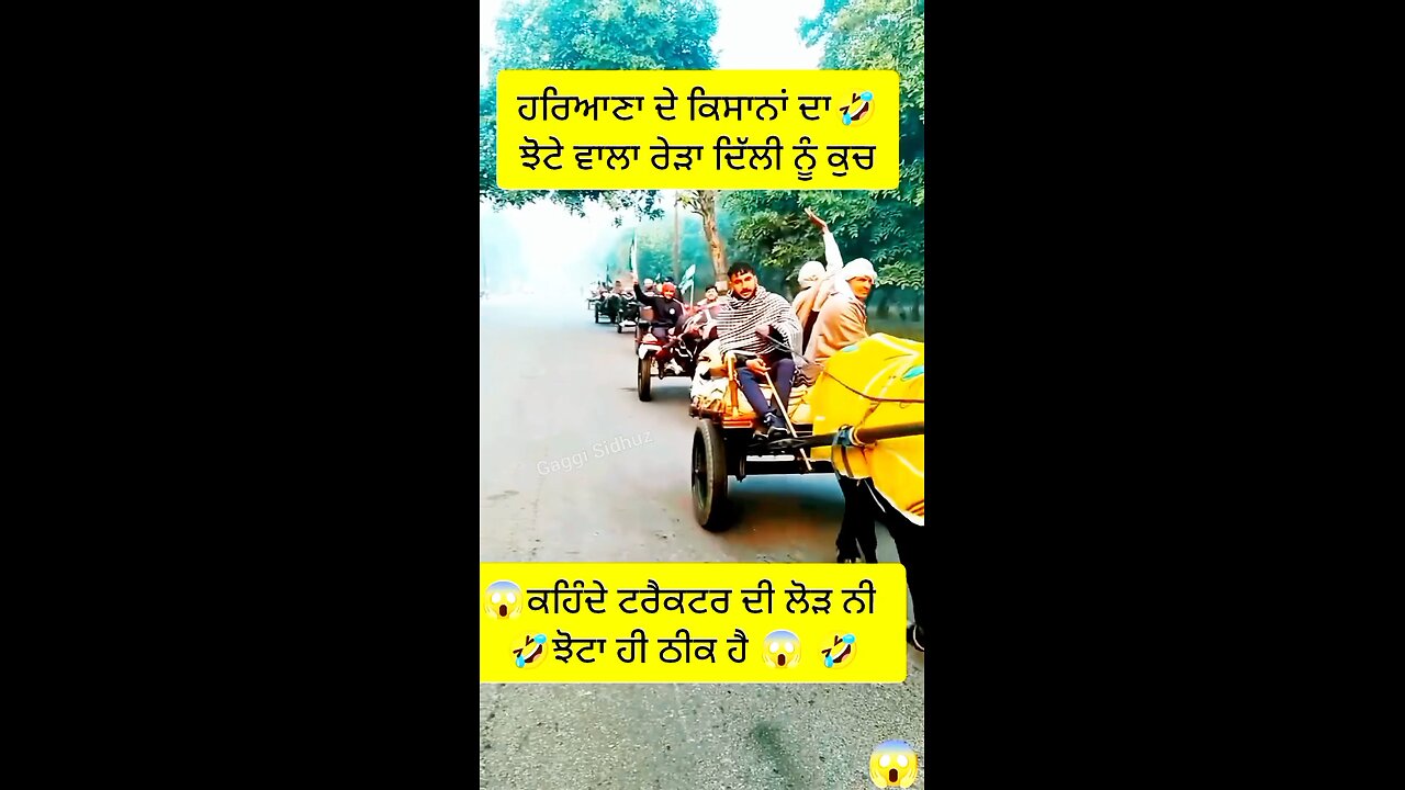 ਦਿੱਲੀ ਪੁੱਜੇ ਝੋਟੇ #kisan_andolan #shots