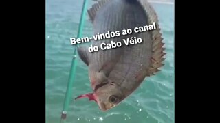 Cachoeira na Linha Amarela , altura do pedágio no bairro Agua Santa.