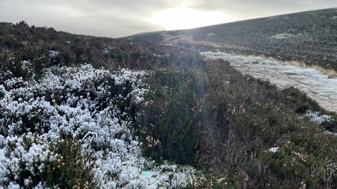 Tinto loop via Totherin Hill, Scaut Hill, Wee Hill, Runchie Knowe and Park Knowe