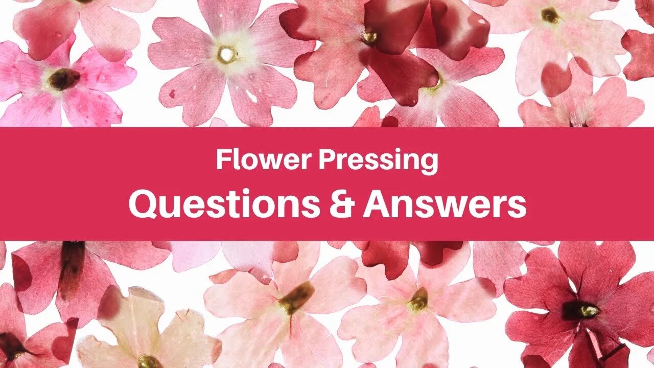 Flower Pressing Q&A