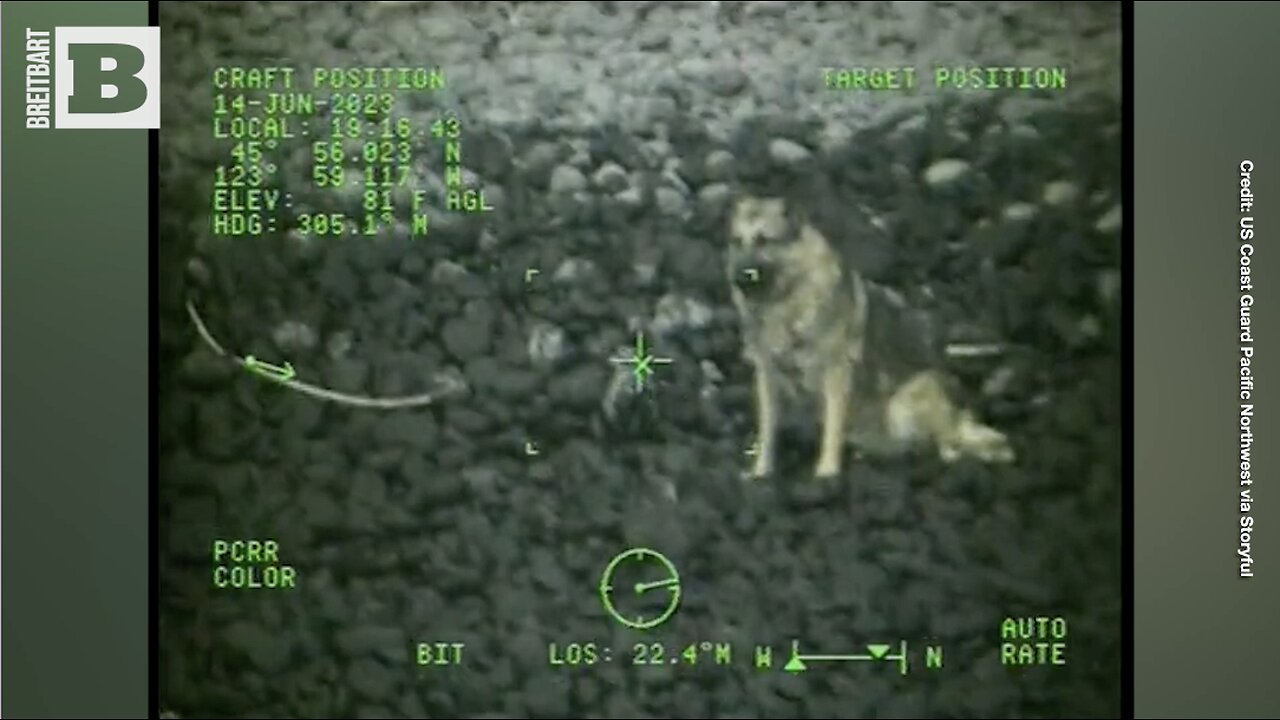 Coast Guard Rescues German Shepherd Trapped on Oregon Beach