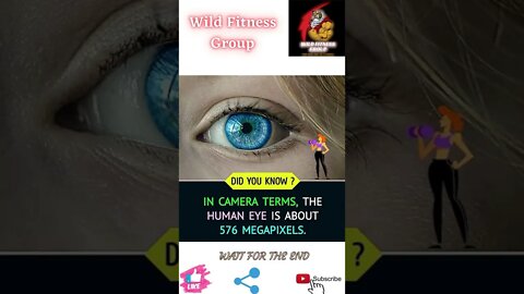 🔥Human eye🔥#shorts🔥#wildfitnessgroup🔥29 June 2022🔥