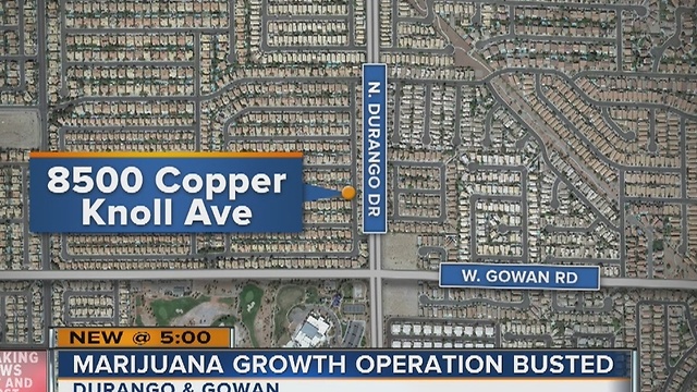 Las Vegas police discover pot growth operation near Durango and Gowan