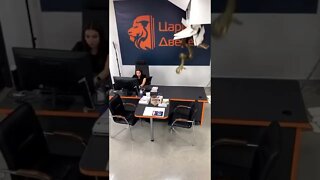 26 de março de 2022