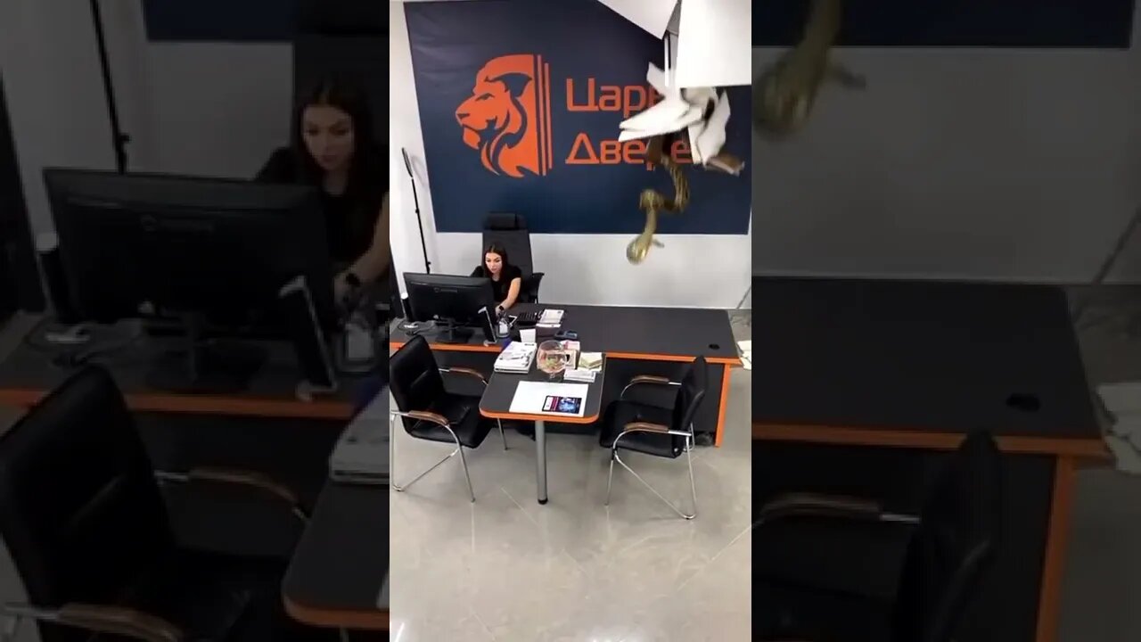 26 de março de 2022