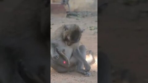 #funny #shorts