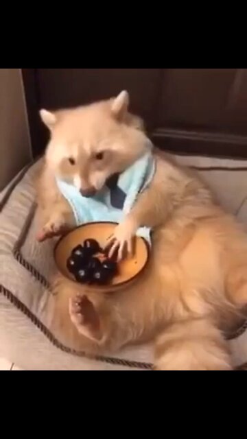 Little good Saturday morning vibe