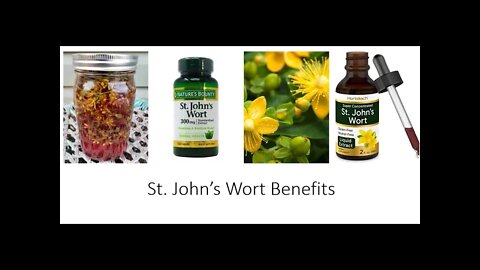 St Johns Wort - Hypericum perforatum Benefits