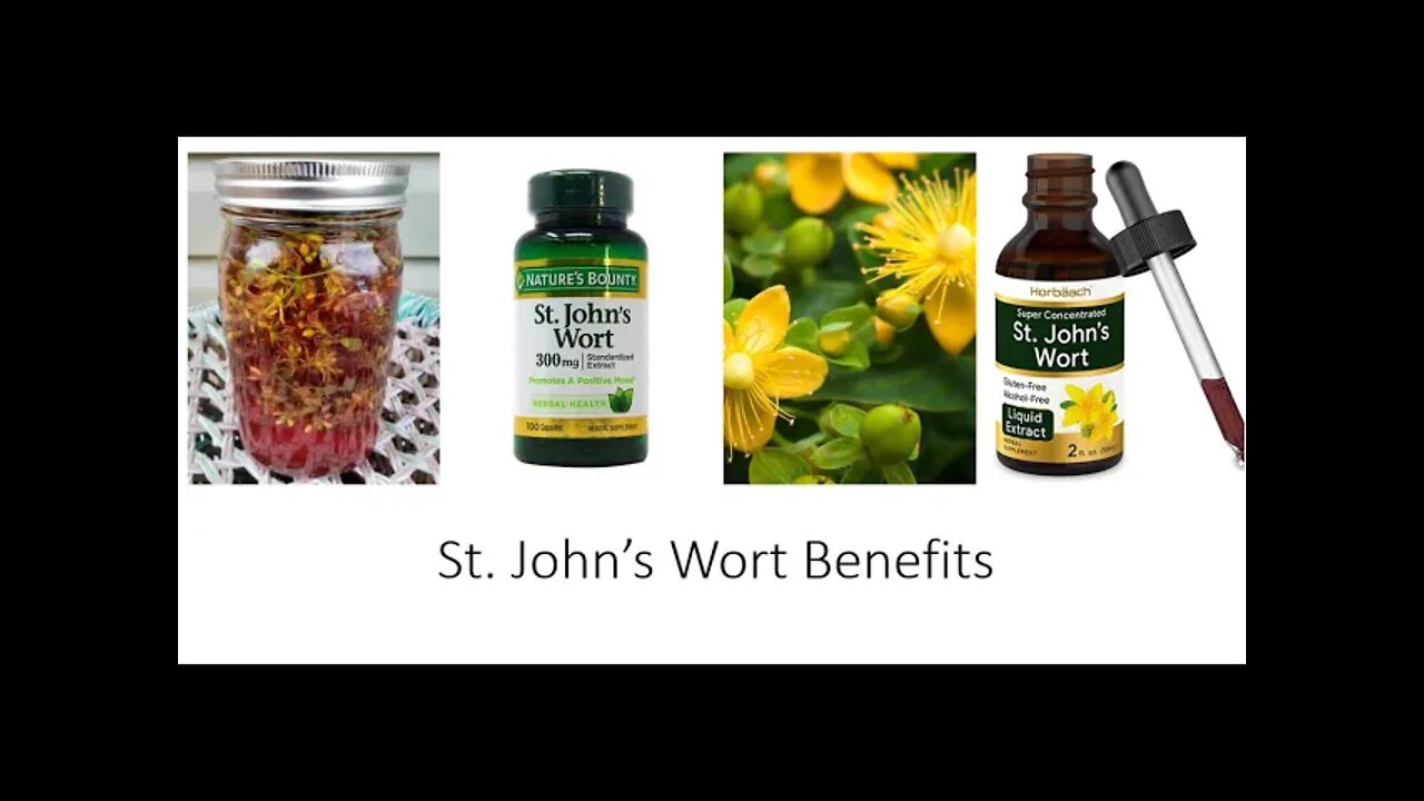 St Johns Wort - Hypericum perforatum Benefits