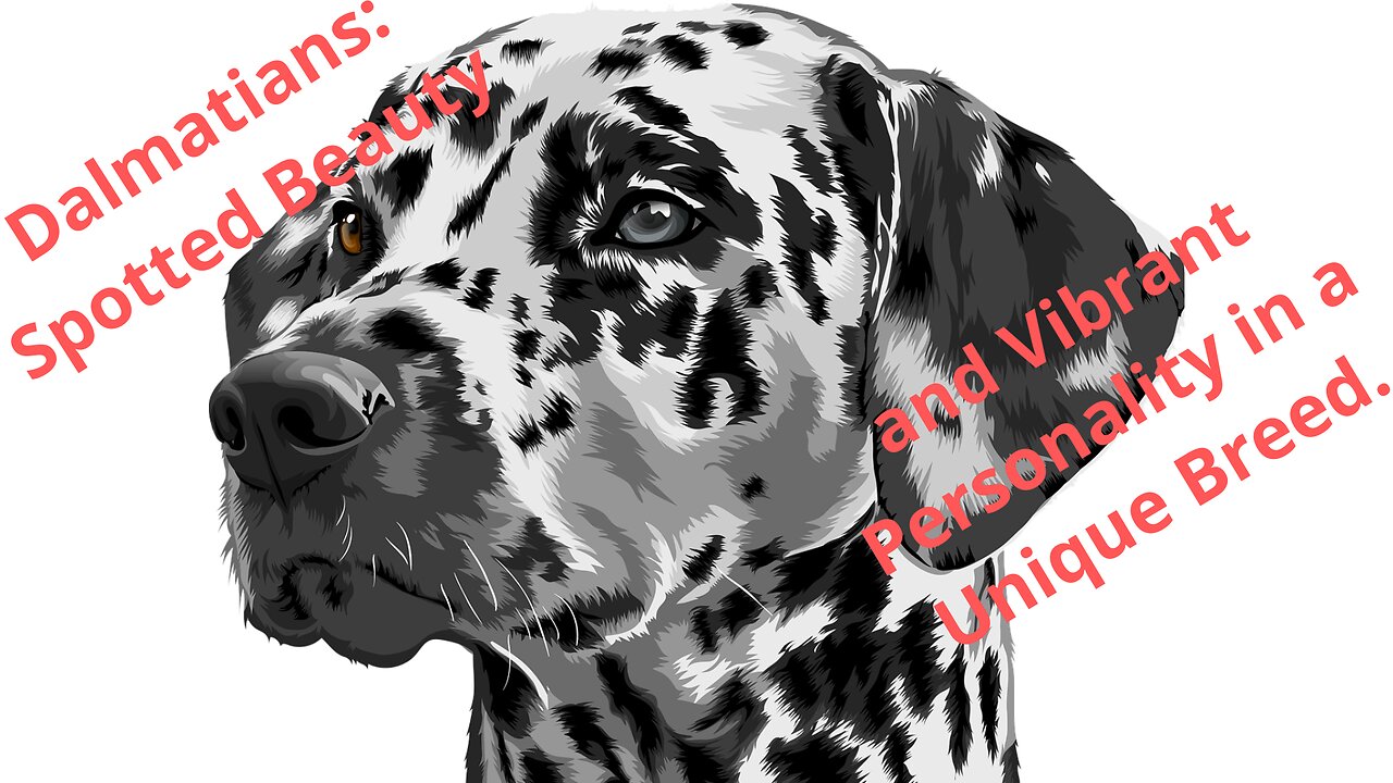 Dalmatians: Spotted Beauty and Vibrant Personality in a Unique Breed.