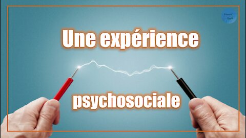 Élections américaines : une expérience de psychologie sociale pour mieux comprendre le processus