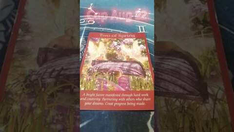 #Capricorn Tarot reading For the week of August 22nd 2022 #Shorts