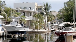 How Climate Change Is Affecting Life In The Florida Keys