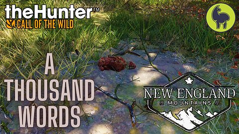 A Thousand Words, New England Mountains | theHunter: Call of the Wild PS5