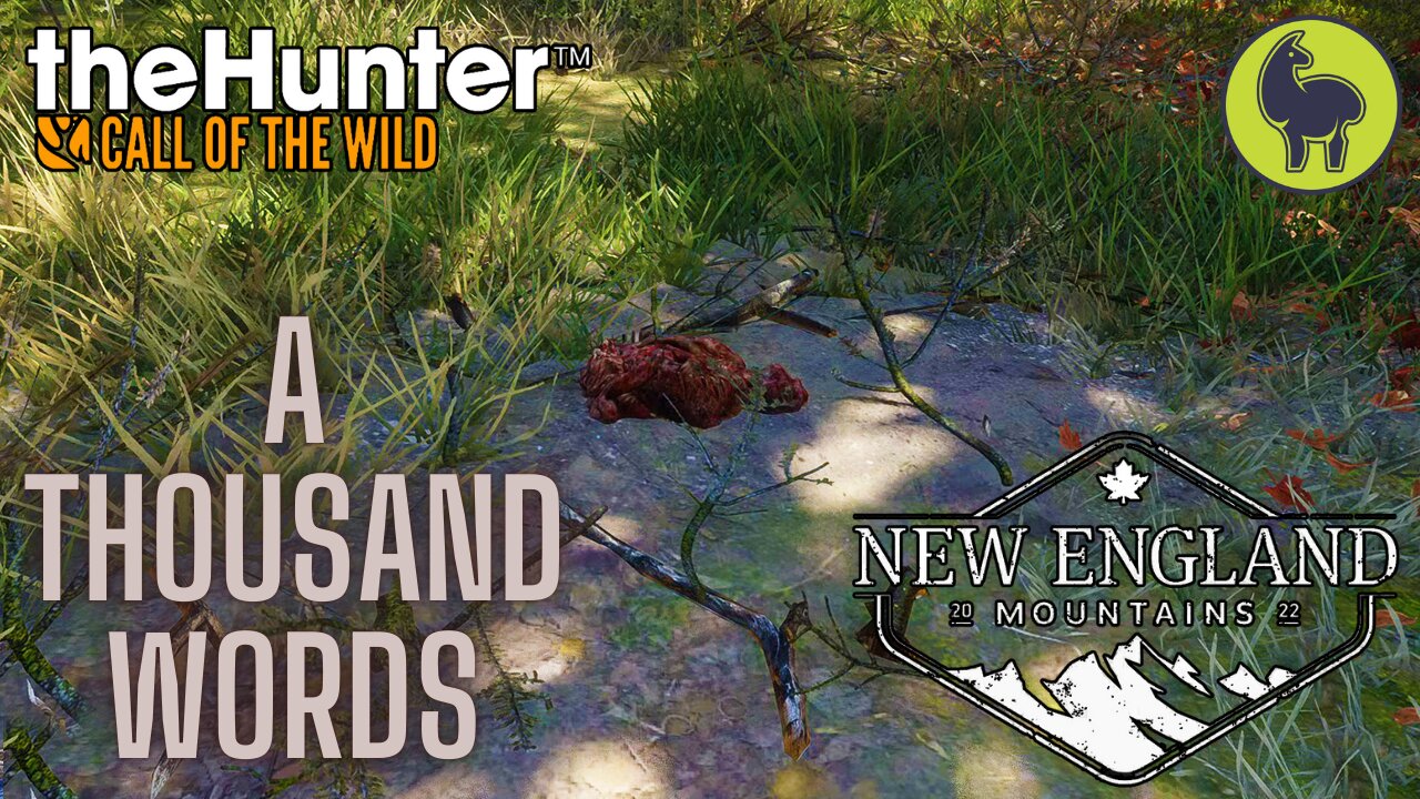 A Thousand Words, New England Mountains | theHunter: Call of the Wild PS5