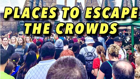 Secret Spots to Escape the Crowds at Universal Studios