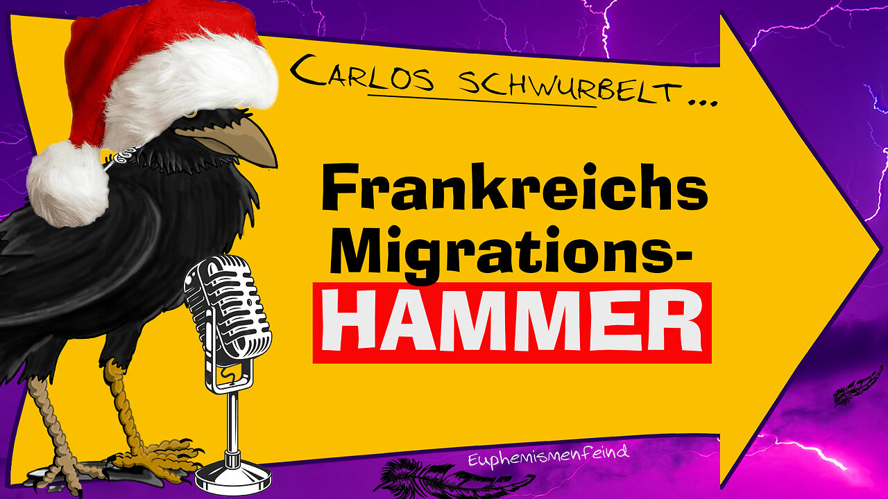 Frankreichs knallhartes Migrations-Gesetz - nicht gut für Deutschland? #migration 🇫🇷