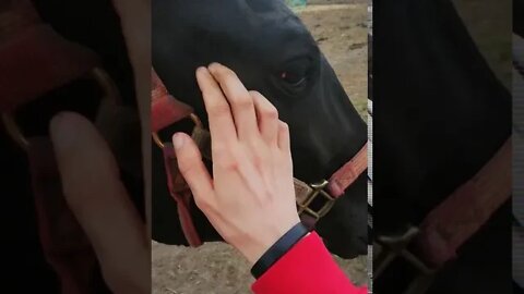 Horsing Around 🥰
